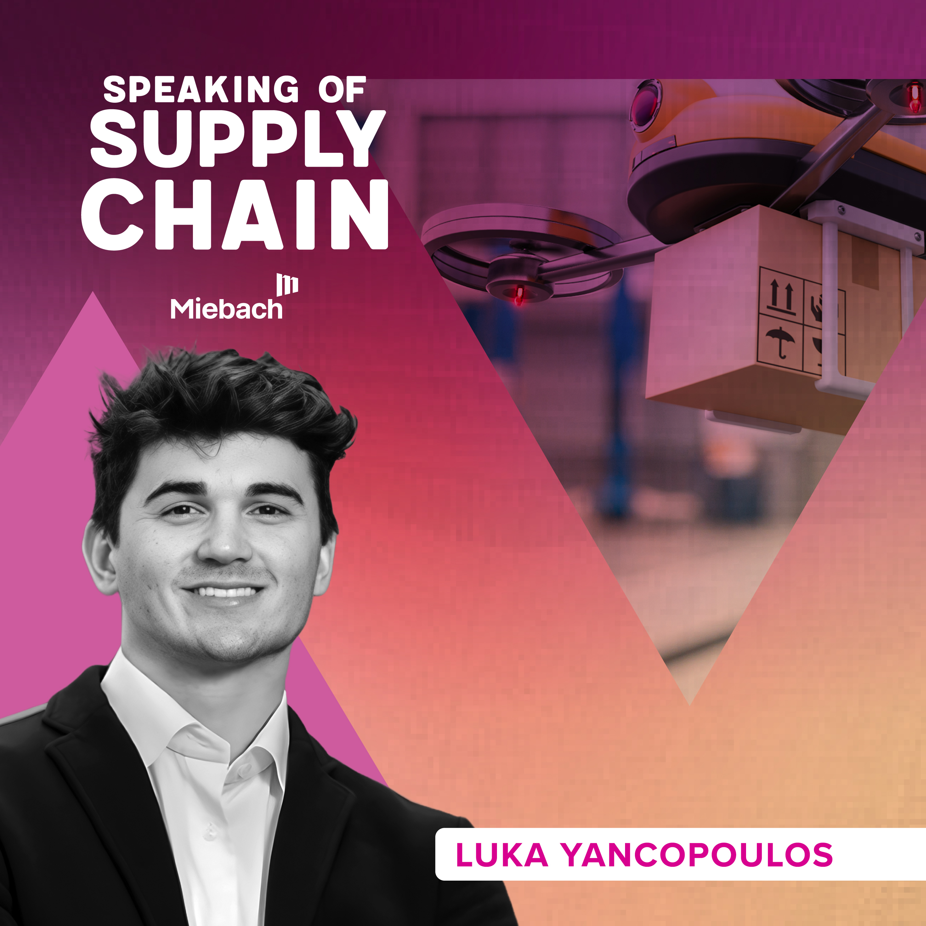 Episode 36 Diagnosing the Challenges of the Healthcare Supply Chain