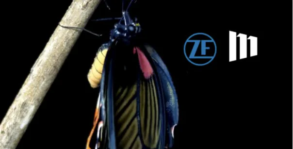 ZF Project News Teaser