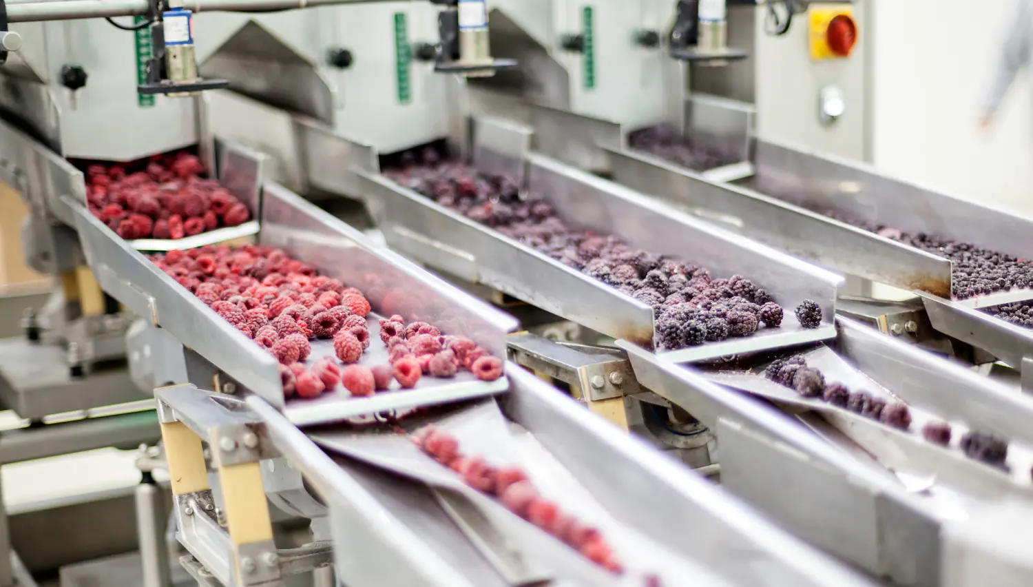 Process Improvement Food Manufacturing shutterstock 327197414 Vladimir Nenezic